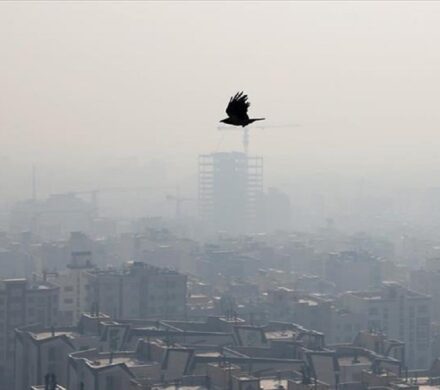 چگونه در هوای آلوده زندگی کنیم؟