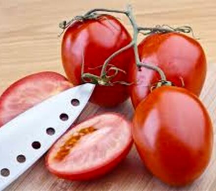آیا رگه‌ های سفید گوجه مضر است؟